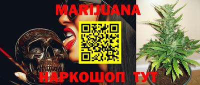 гидра Лесосибирск