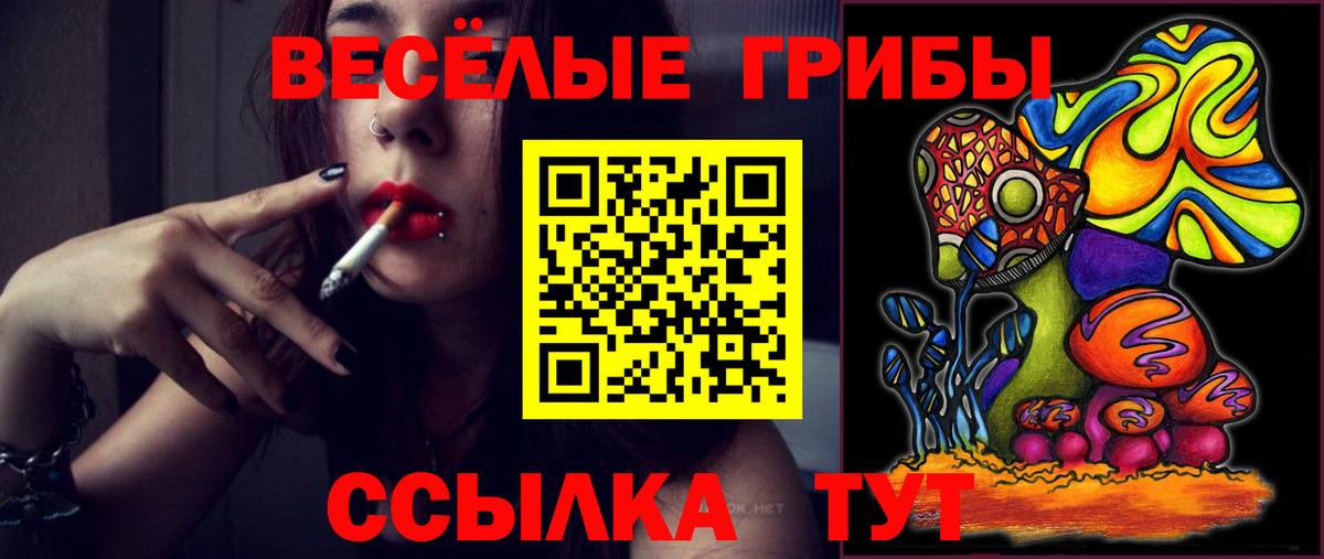 Галлюциногенные грибы Psilocybe  Вход с VPN  Чапаевск 