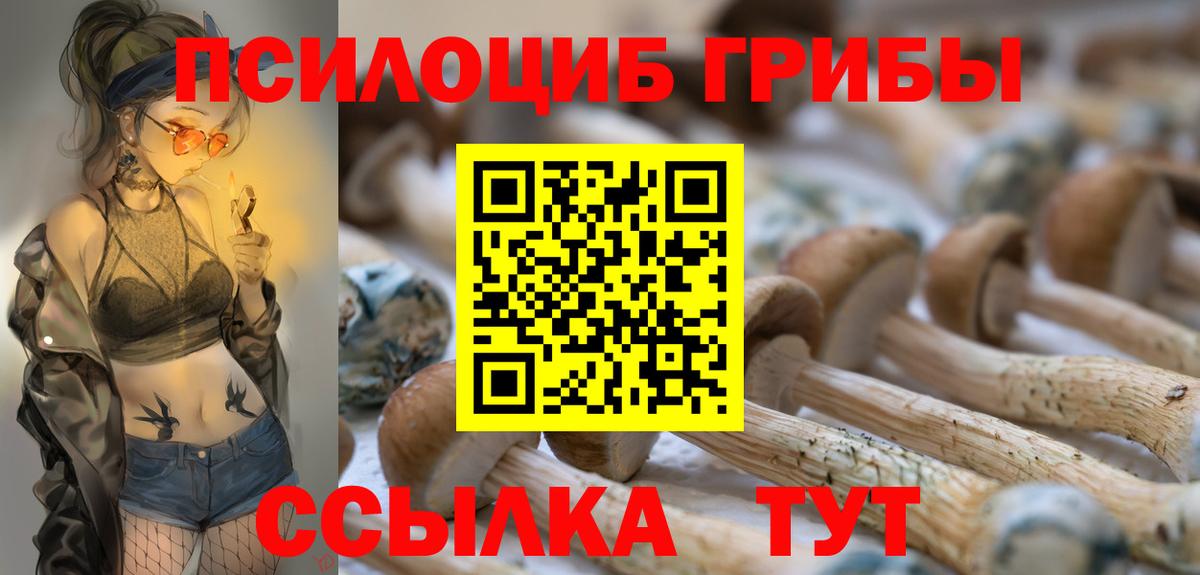 Псилоцибиновые грибы ЛСД Чапаевск